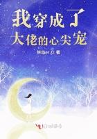 我穿成了大佬的心尖宠作者叶轻轻