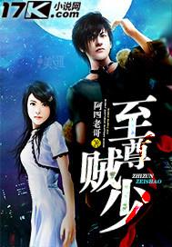 至尊贼少女主角