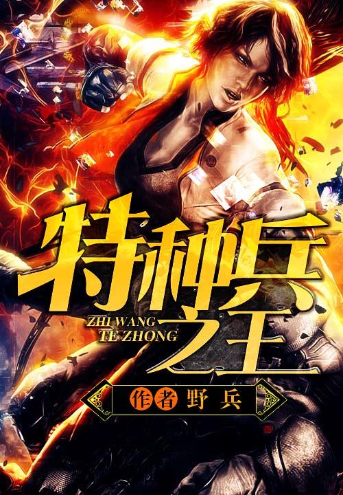 特种兵之王艳兵传奇全文阅读