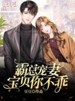 霸总宠妻宝贝你不乖豆豆