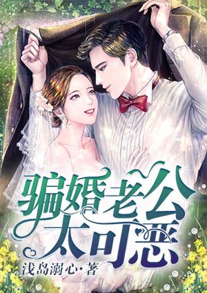 骗婚老公太可恶全文免费