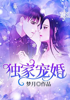 独家宠婚高宏