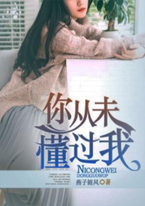 你从未懂我歌词大意