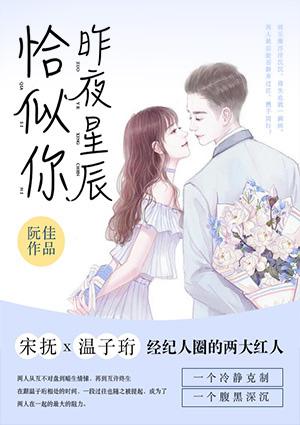 昨夜星辰恰似你by观山雪txt