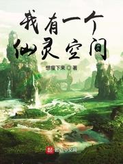 我有一个仙灵空间电子书