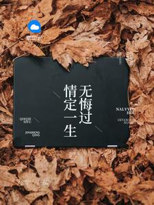 叶南弦沈蔓歌最新更新章节946章