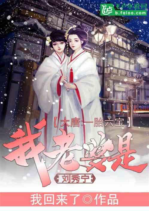 大唐我成了秀宁驸马 作者 问鼎大唐