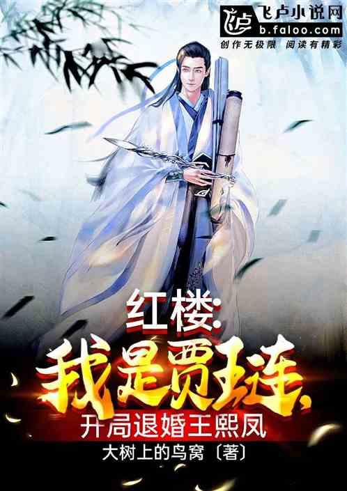 红楼开局抢了王熙凤