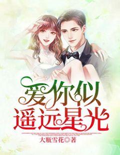 骆向东梁子衿第257章