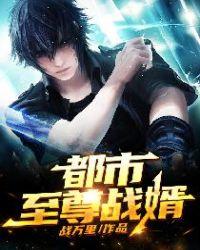 都市至尊战婿陈沭