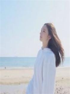 潇爷娇妻是大佬电视剧剧情