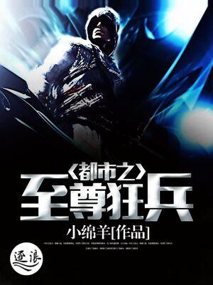 都市之至尊狂兵凌天