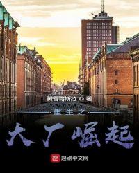 重生之大厂崛起书评