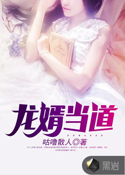 龙婿当道txt免费
