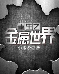 金属世界第二部