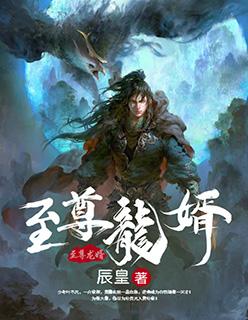 至尊龙婿叶辰萧初然免费阅读笔趣阁