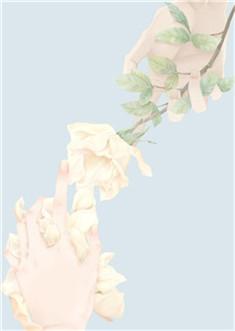 苏北路南电视剧扮演者