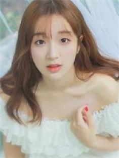 矮脚猫是什么品种?