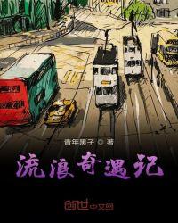 流浪歌手奇遇记