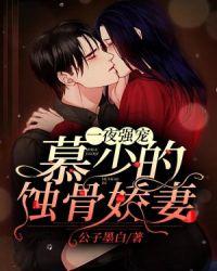 慕少宠妻101夜