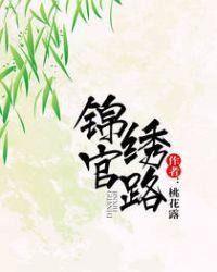 锦绣官路最新章节