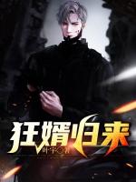 狂婿归来陈凡免费阅读