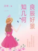 良辰好景知几何全集完整版