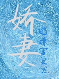 娇妻她嫌富爱贫格格党