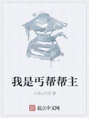 我丐帮帮主解风