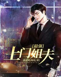 动漫上门姐夫全集
