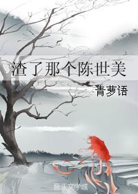 渣了那个陈世美讲的什么