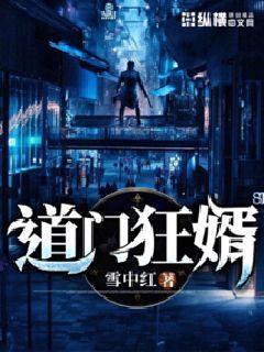 逆天狂婿道门十七