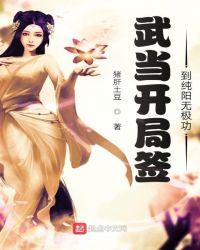 武当开局签到纯阳无极功txt