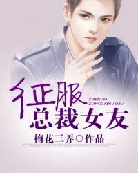 征服总裁女友免费阅读全文无删减