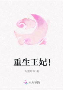 重生王妃医手遮天云锦年