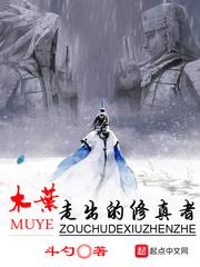 木叶走出的修真者txt精校版