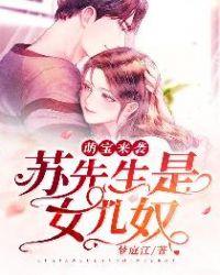 苏先生是女二奴