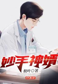 妙手神婿 不谈春秋