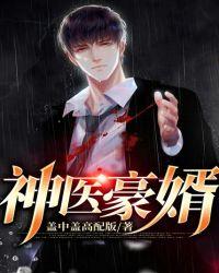 神医豪婿视频