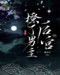 男主开后宫电视剧推荐