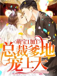 萌宝1加1总裁爹地宠上天免费观看