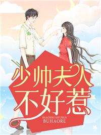 少帅夫人不好惹电视剧免费观看