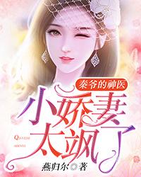 主人公陆朝颜秦商陆