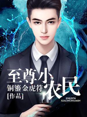 至尊小农民王木生全文免费阅读