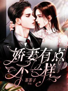 娇妻有点皮