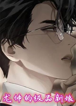 电视剧极品新娘免费观看