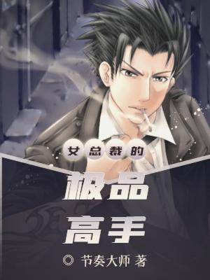 女总裁的极品高手免费阅读无广告