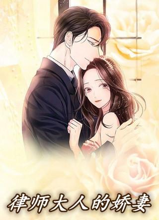 律师大人 电视剧