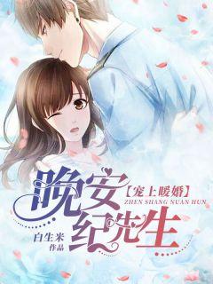 宠上暖婚晚安纪先生免费阅读全集