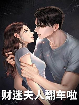 霸道总裁的财迷夫人